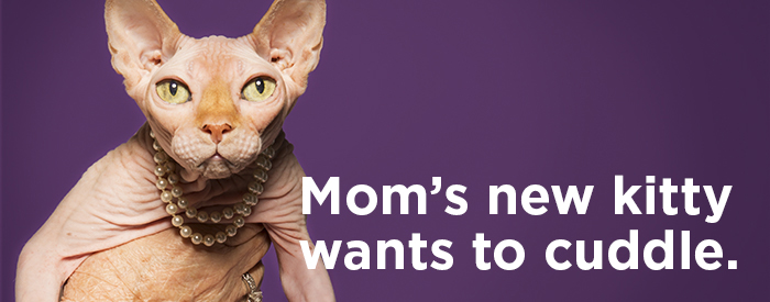 MOM’S NEW KITTY WANTS TO CUDDLE.